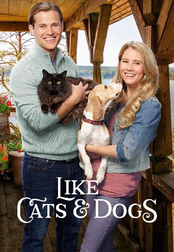 Like Cats & Dogs poster