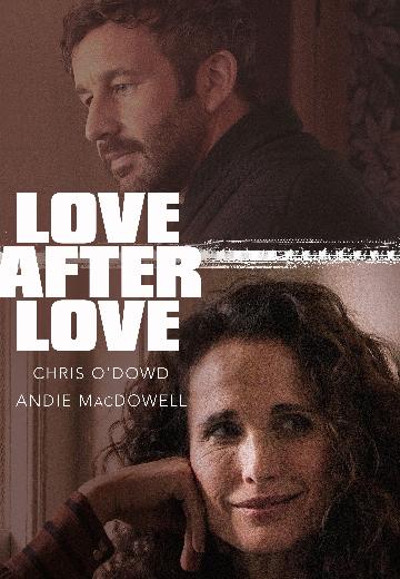 Love After Love poster