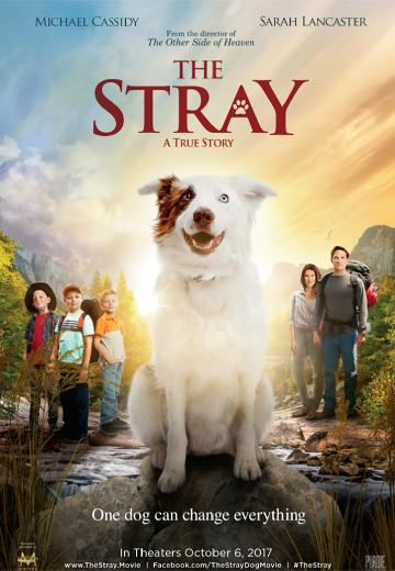 The Stray poster