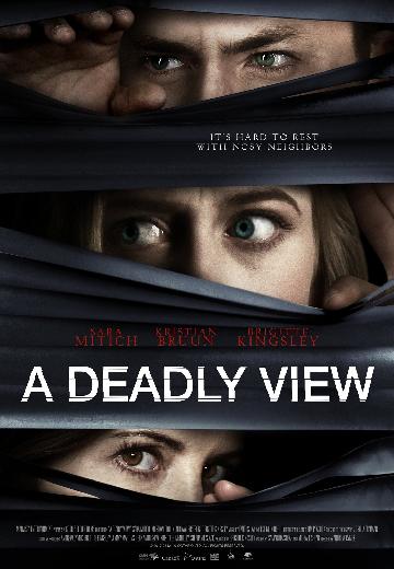 A Deadly View poster