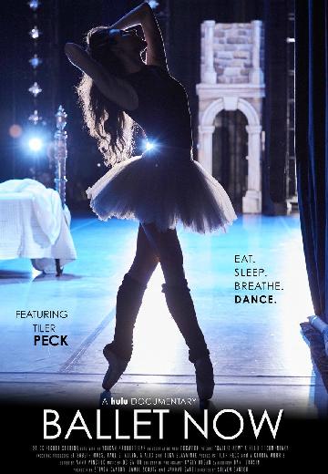 Ballet Now poster