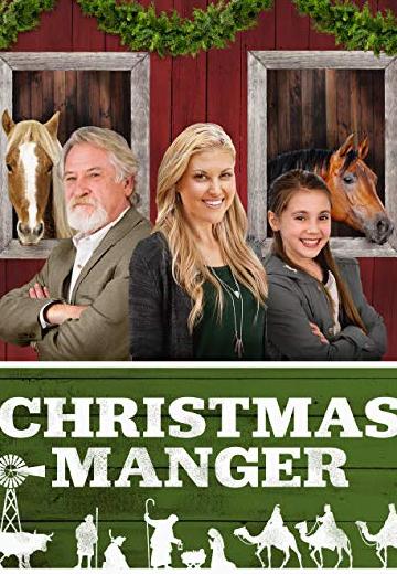 Christmas Manger poster