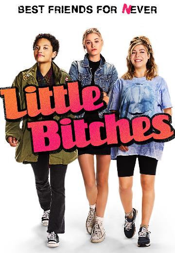 Little Bitches poster