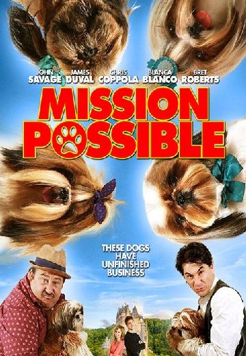 Mission Possible poster