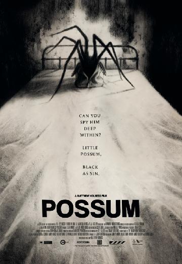 Possum poster