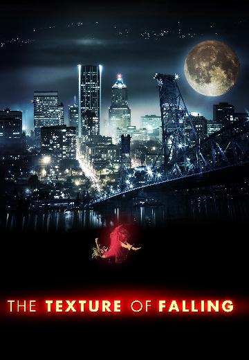 The Texture of Falling poster