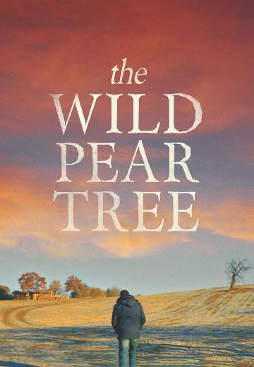 The Wild Pear Tree poster