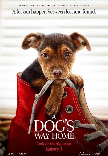 A Dog's Way Home poster