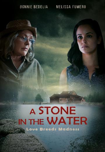 A Stone in the Water poster