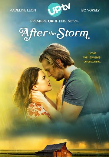 After the Storm poster