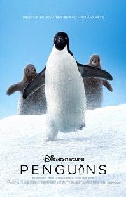 Penguins poster