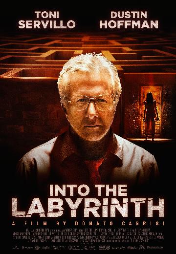 Into the Labyrinth poster