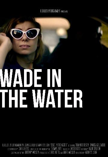 Wade in the Water poster