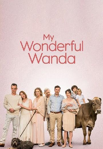 My Wonderful Wanda poster